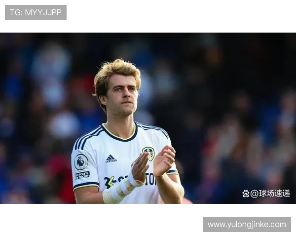 利兹联前锋班福德在英超赛季表现全面分析