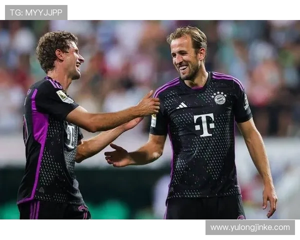 德甲16球队球场：了解德甲16支球队的主场球场与设施