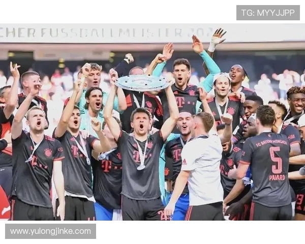 德甲各球队拥有的明星球员数量及其影响力