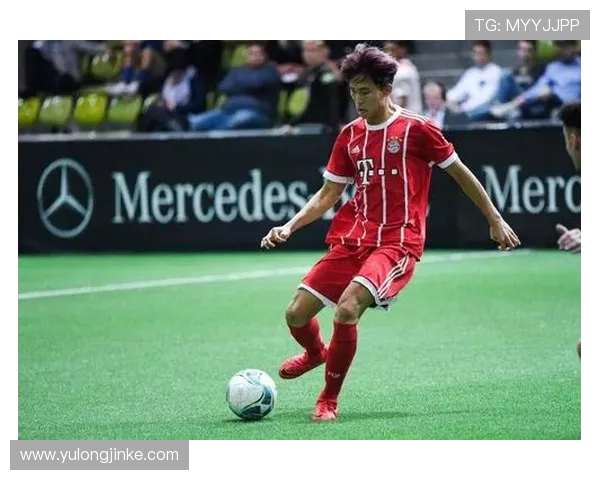 德甲是否存在拥有私人老板的球队？管理体制分析