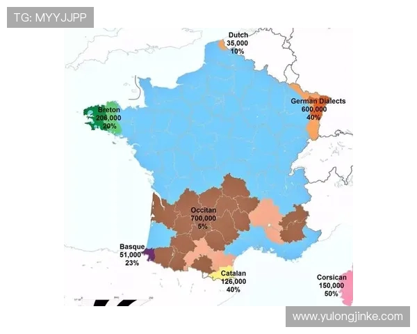 德甲球队主场名称大全：德国足球文化地图