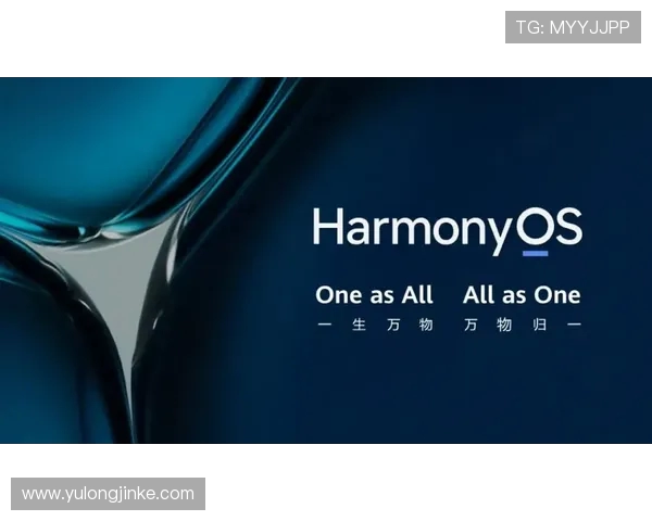 欧冠篮球视频下载资源及版权信息说明